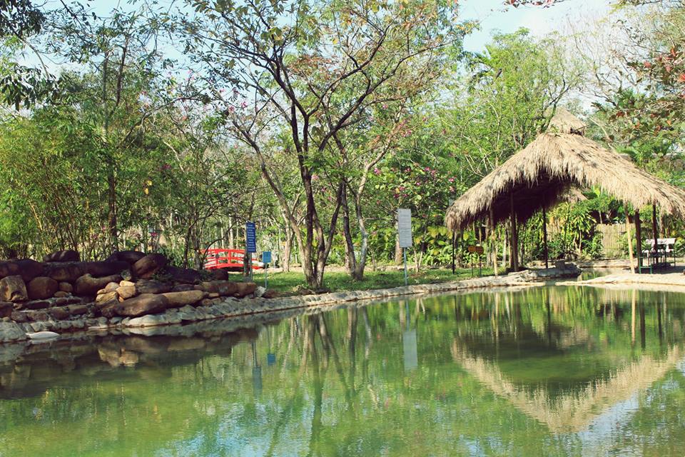Thanh Tan Hot Springs